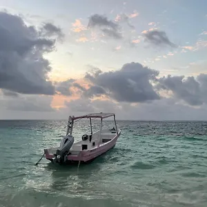 Maison d'hôtes Home's Jungle Puerto Morelos 20 Minutes From The Airport